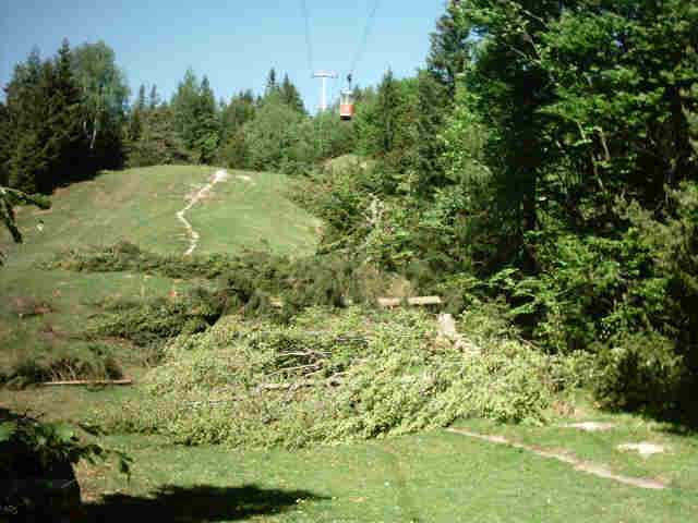 nach dem Holzen